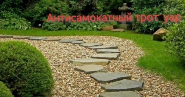 Так себе картинки 18.07.25