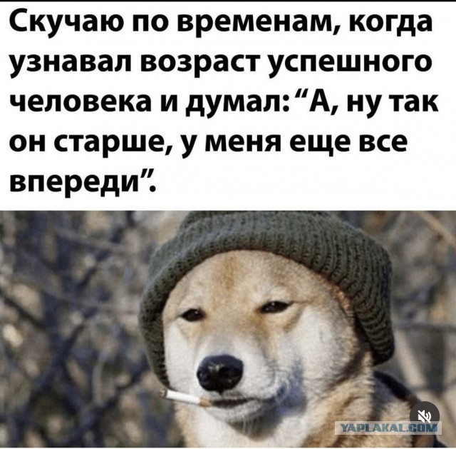 Так себе картинки 25.07.25