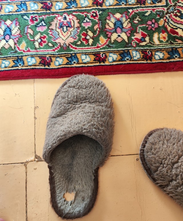 Тапочки из пыли