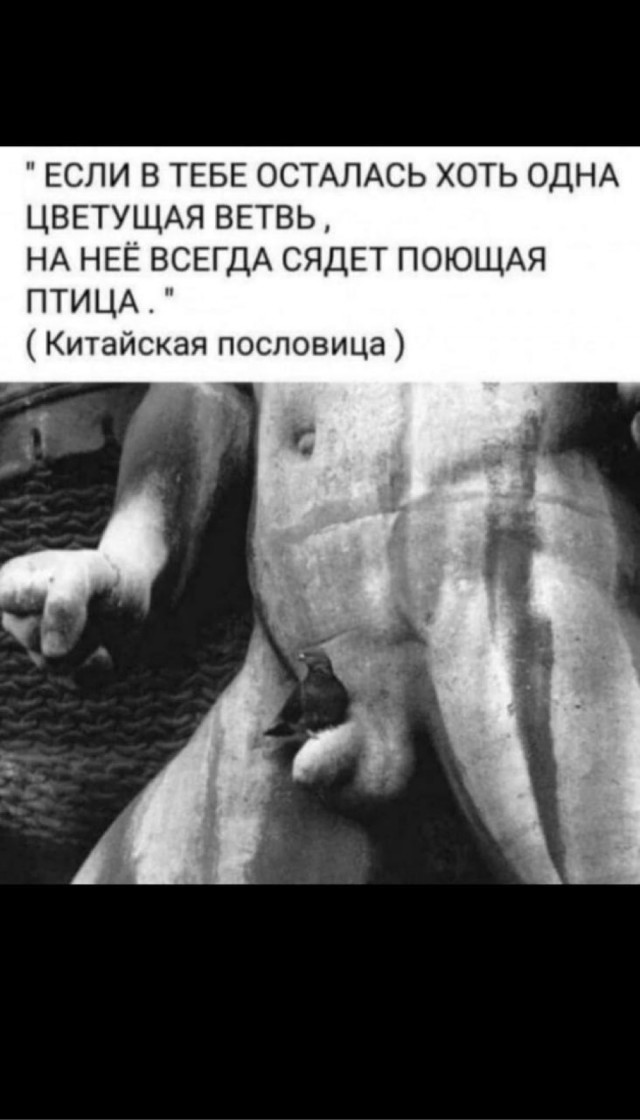 Так себе картинки 10.09.25