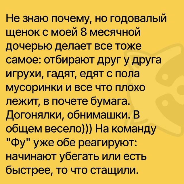 Так себе картинки 21.10.25