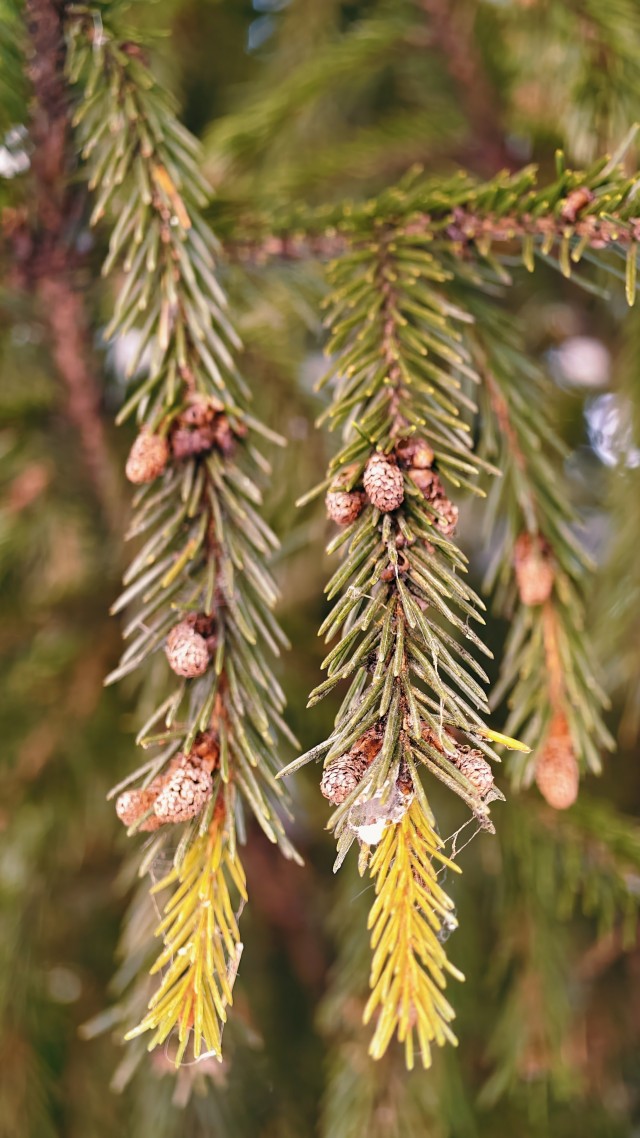 Голубые озера под Казанью