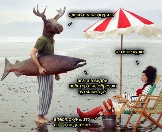 Среды картинки