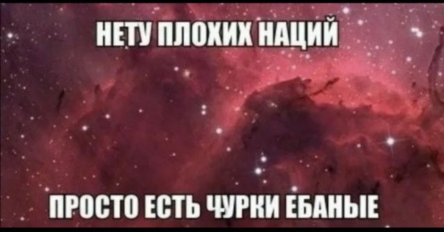 «Я прошу прощения. Я извиняюсь за то, что оскорбил русскую женщину»