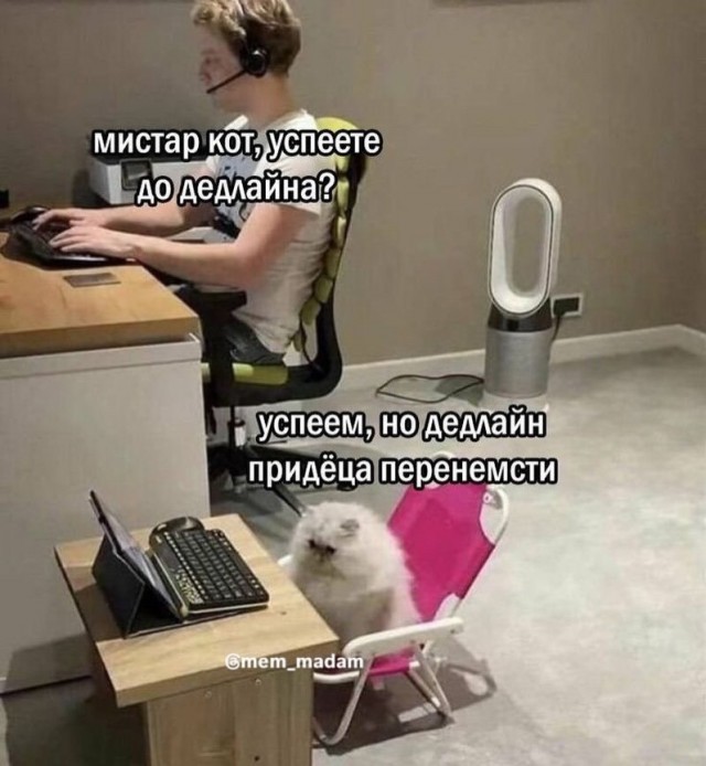 Воскресные картинки