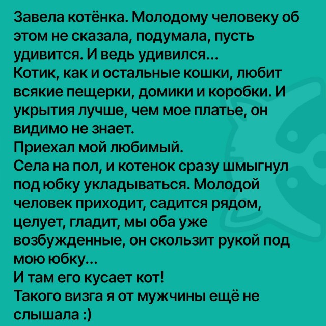 Так себе картинки 06.02.26