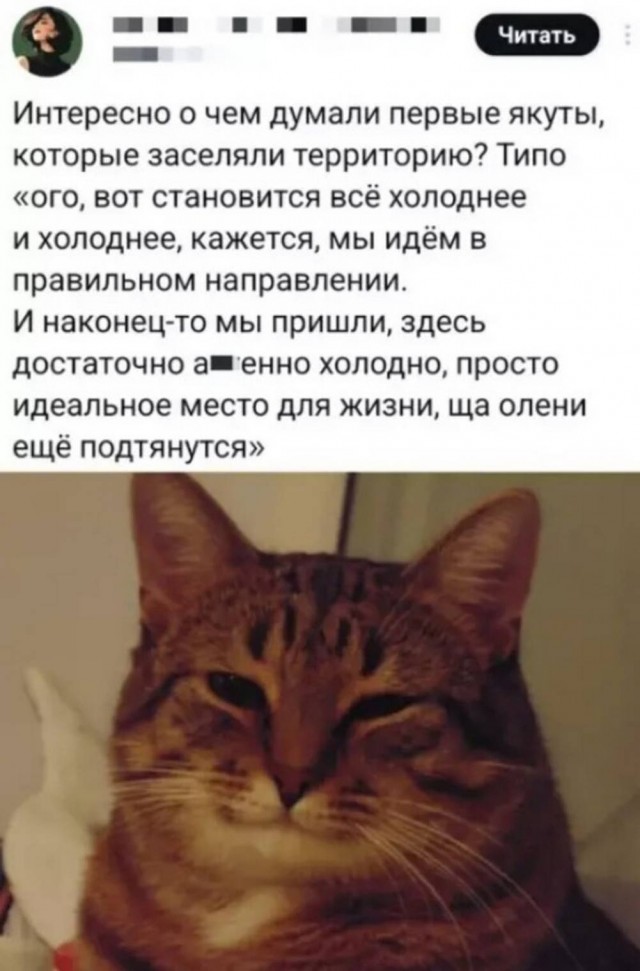 Нуштош. Познание как то, чего следует остерегаться во избежание нервного срыва (s5e6)