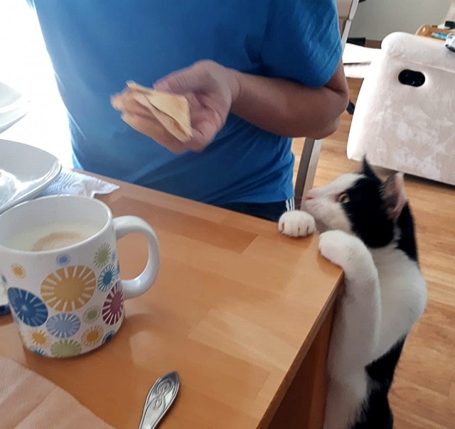 Двуликая Муся
