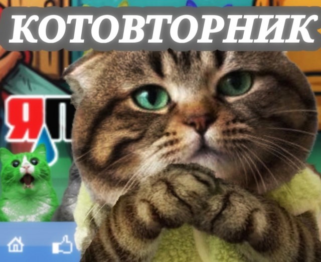 Фотожаба: Грустный котик