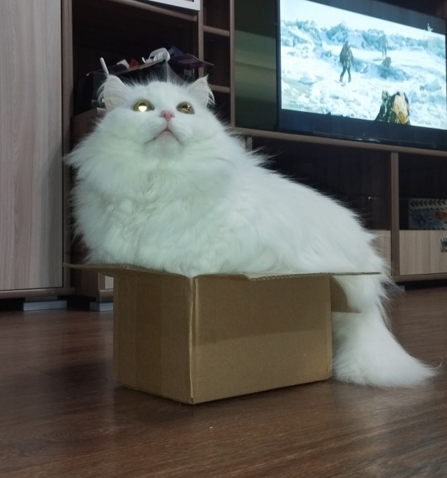 *БАЯН*Пророк