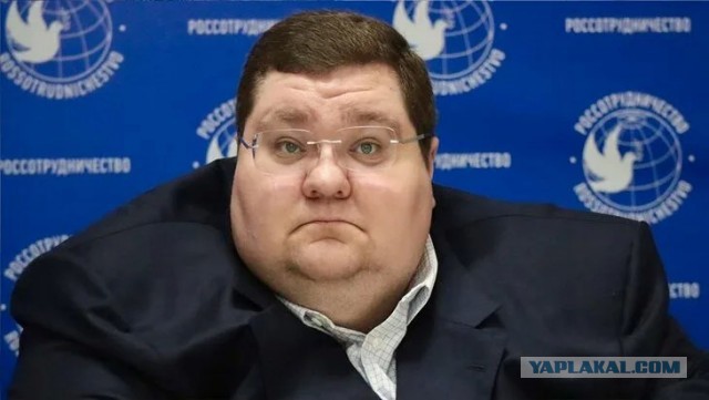 В Индии богатым туристам можно не идти пешком на гору Гирнар