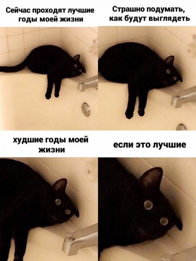 Картинки для деградации 253 (разной степени свежести)