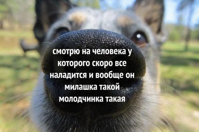 Психомемы-8