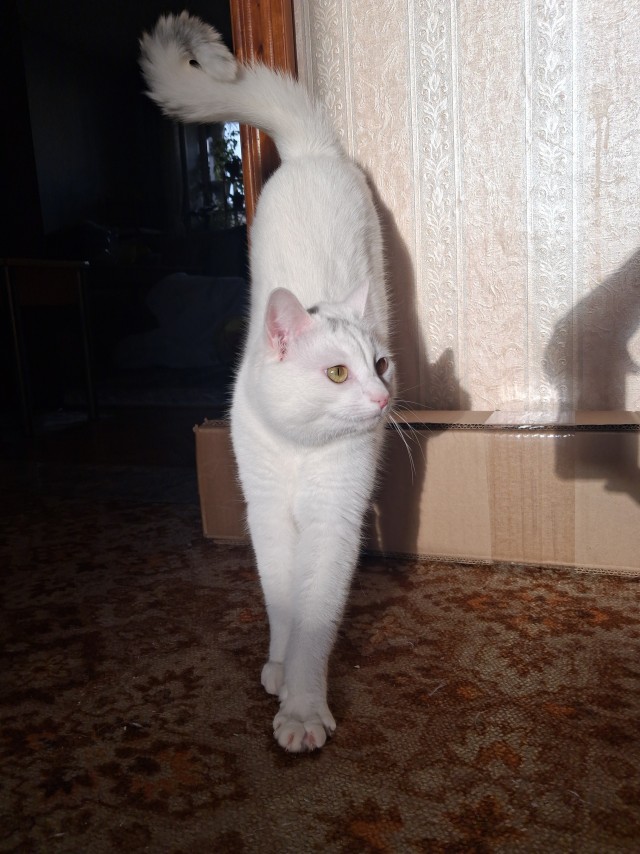 Вечерний просмотр тв
