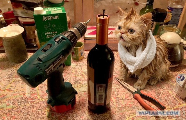 Шуруповёрт
