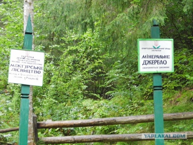 В Карпатах