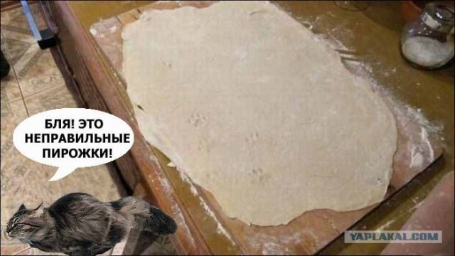 Начинка для пирожков сбежала!