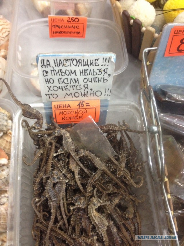 Это Россия детка!