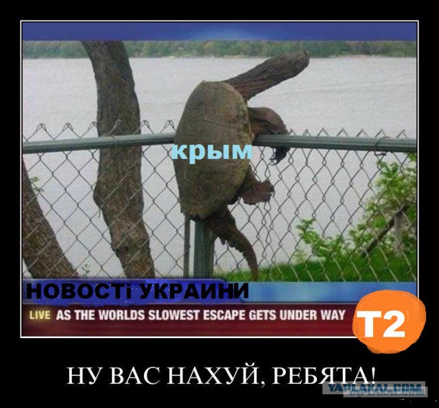 Фотки из интернета.