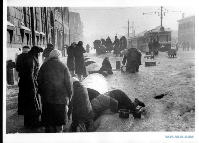 Блокадный Ленинград 1943 год