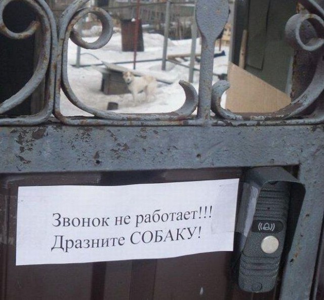 Объявления, анонсы из сети.