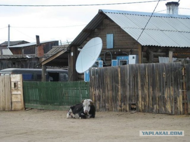 Это Россия, детка!