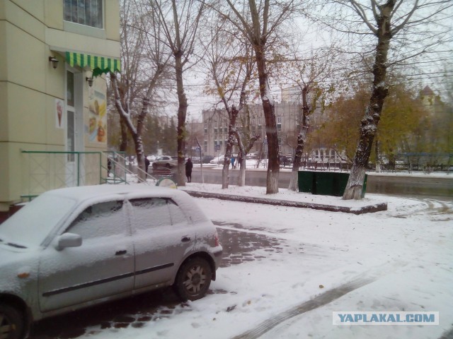Сибирь матушка! а что у вас за окном?