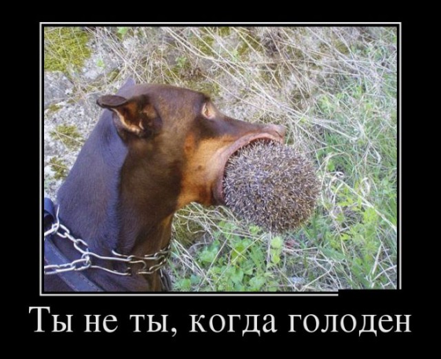 Не юкки ради, улыбки для...