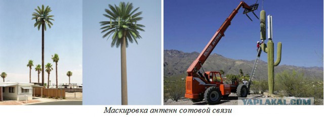 Связист