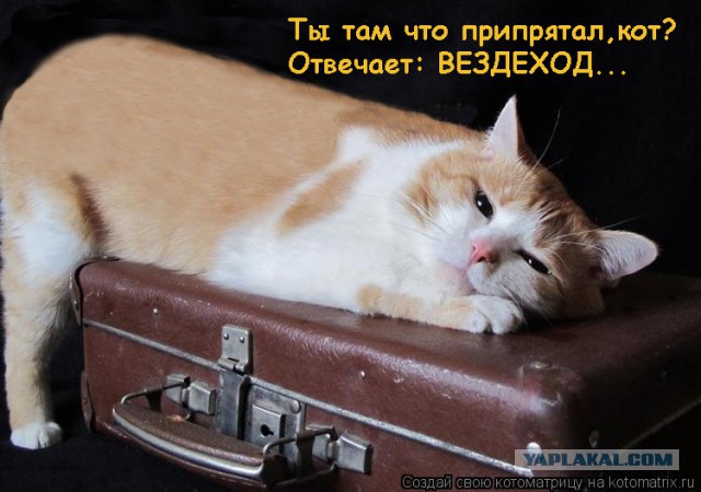 Вездеход который помещается в чемодан