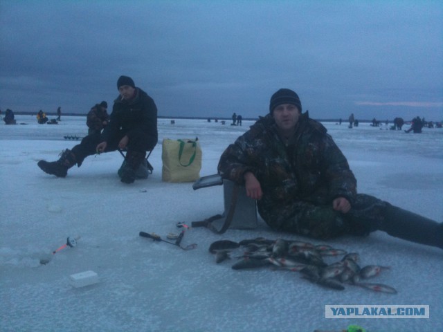 Рыбалка бывает разной...