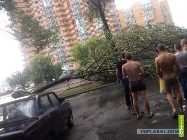 Ураган в Перми (фото)