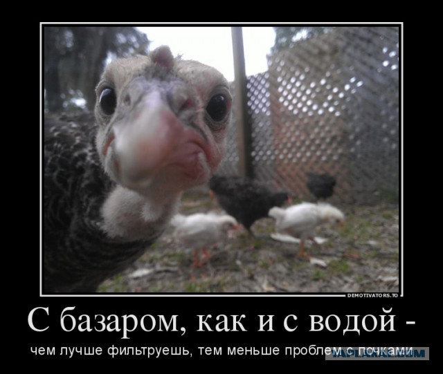 Когда кто-то плюсует твой заминусованый пост