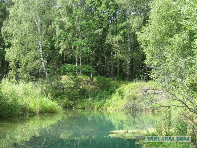 Итоги сезона в Крыму...