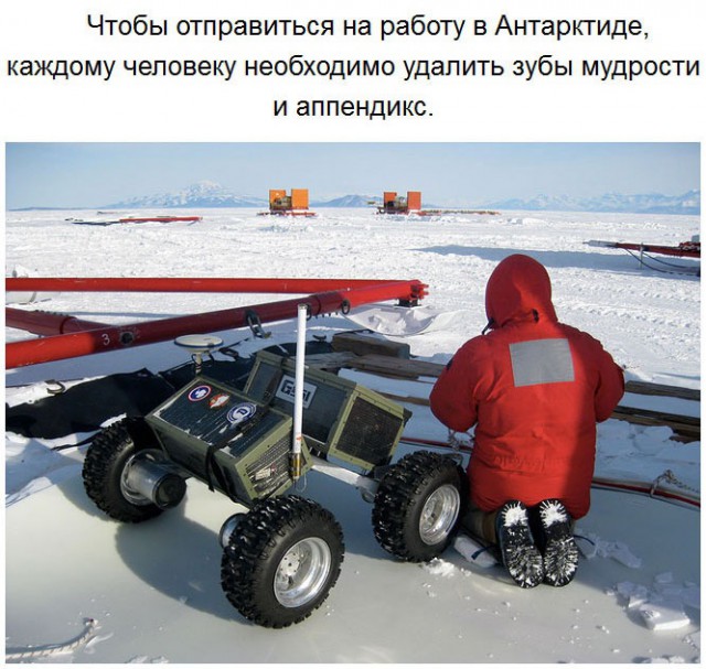 Чего мы не знали об Антарктиде