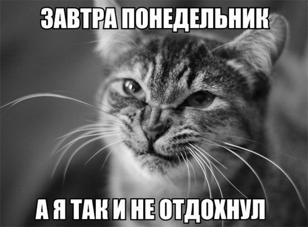 Лента анекдотов на понедельник 16.11.2015