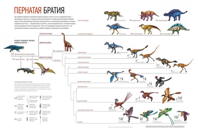 Когда миром правили птицы