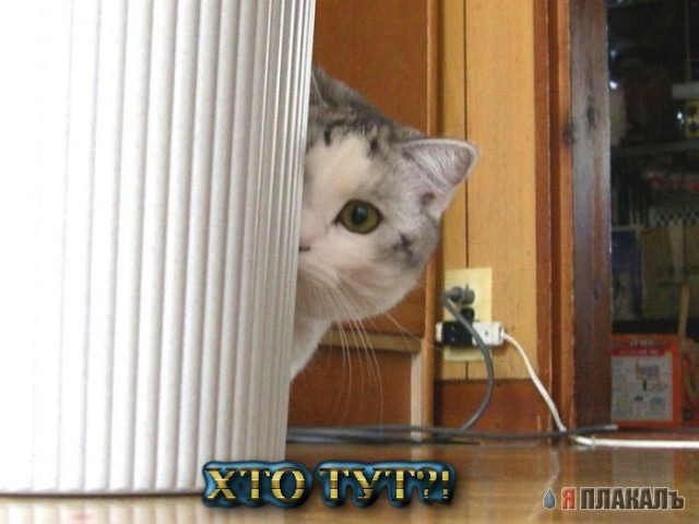 Народный котомет на фторинег