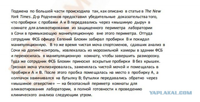 Информатор WADA Степанова получила стипендию, а её мужу дали работу в МОК