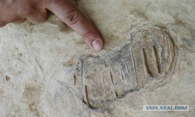 Пора вари... валить бетон! "Альты", шах и мат!