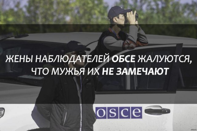 Подборка интересных и веселых картинок