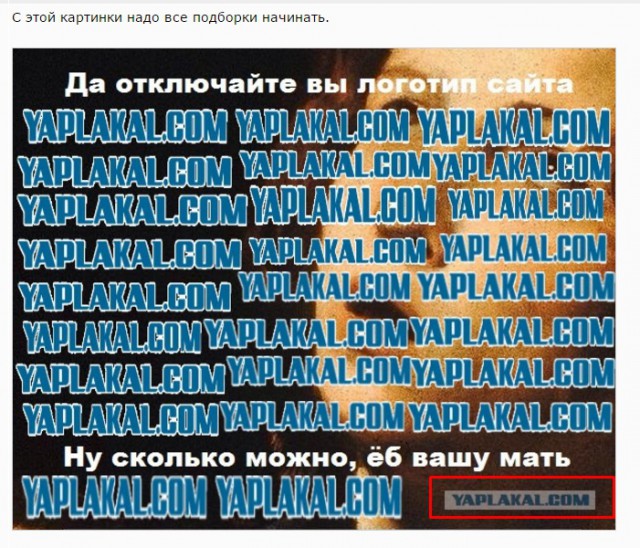 Смешные комментарии из социальных сетей 10.02.2017