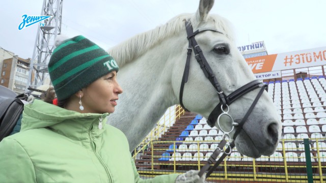 Футбол Чемпионат России 2016-17. Кубок России,РФПЛ,ФНЛ. Часть XVI