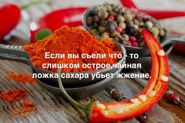35 занимательных фактов