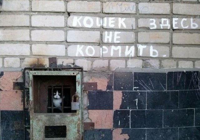 Маразмы от ЖКХ