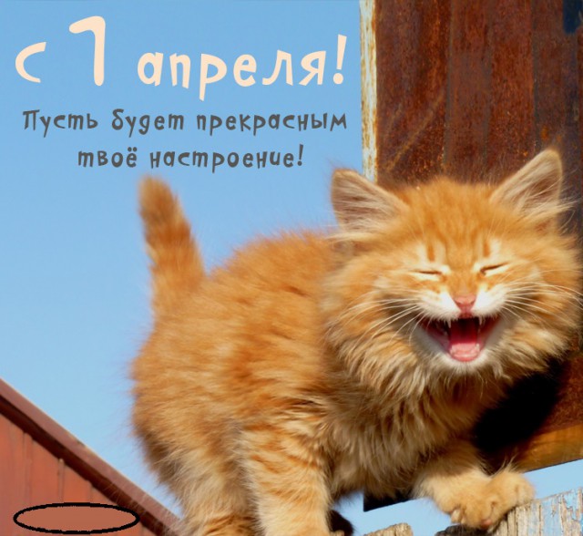 Итоги проверки пользователей
