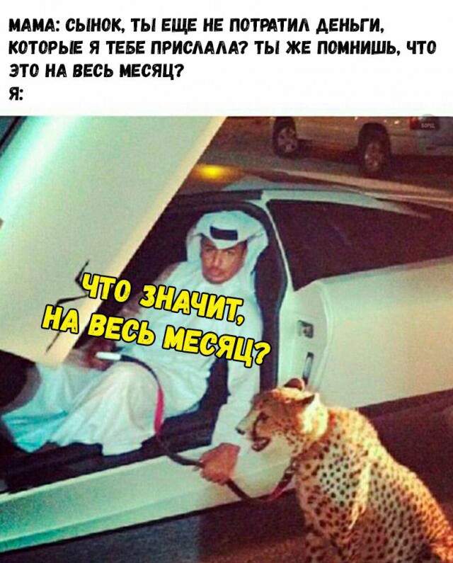 Деграграм на четверг. Картинок пост