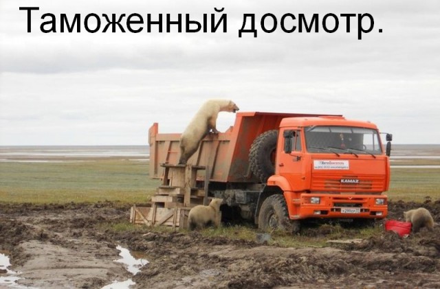 Картинки по-приколу