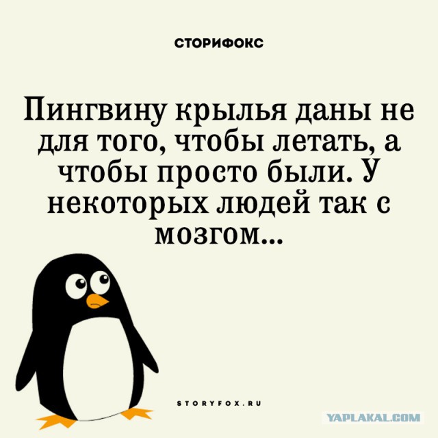 Примеры человеческой глупости, которые вот прямо серьезно озадачивают