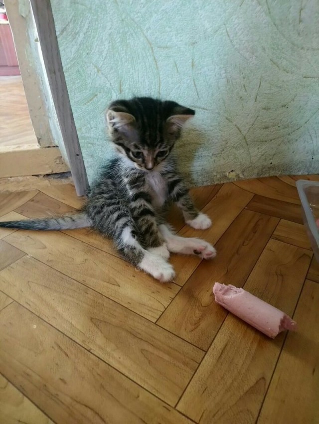 Просто фото 2019/09/09